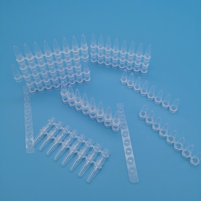 Tubo transparente de la tira de la reacción de la biología molecular de las tiras de tubo de los tubos 8 de la polimerización en cadena de 0,2 ml